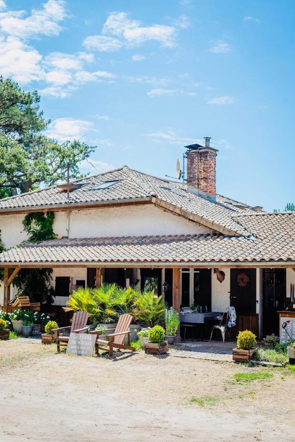La Ferme Du Miouat Hotel Saint-Julien-en-Born Buitenkant foto