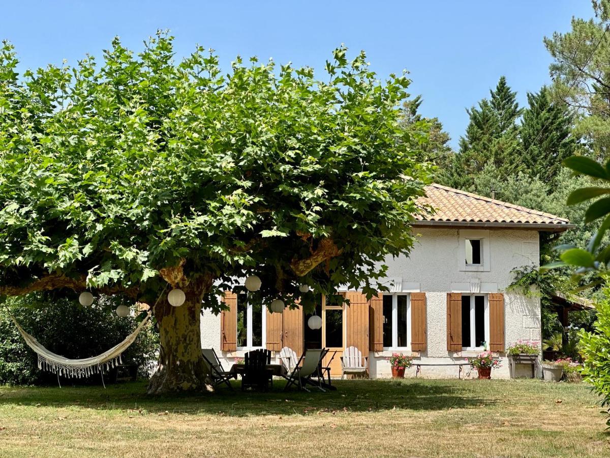 La Ferme Du Miouat Hotel Saint-Julien-en-Born Buitenkant foto