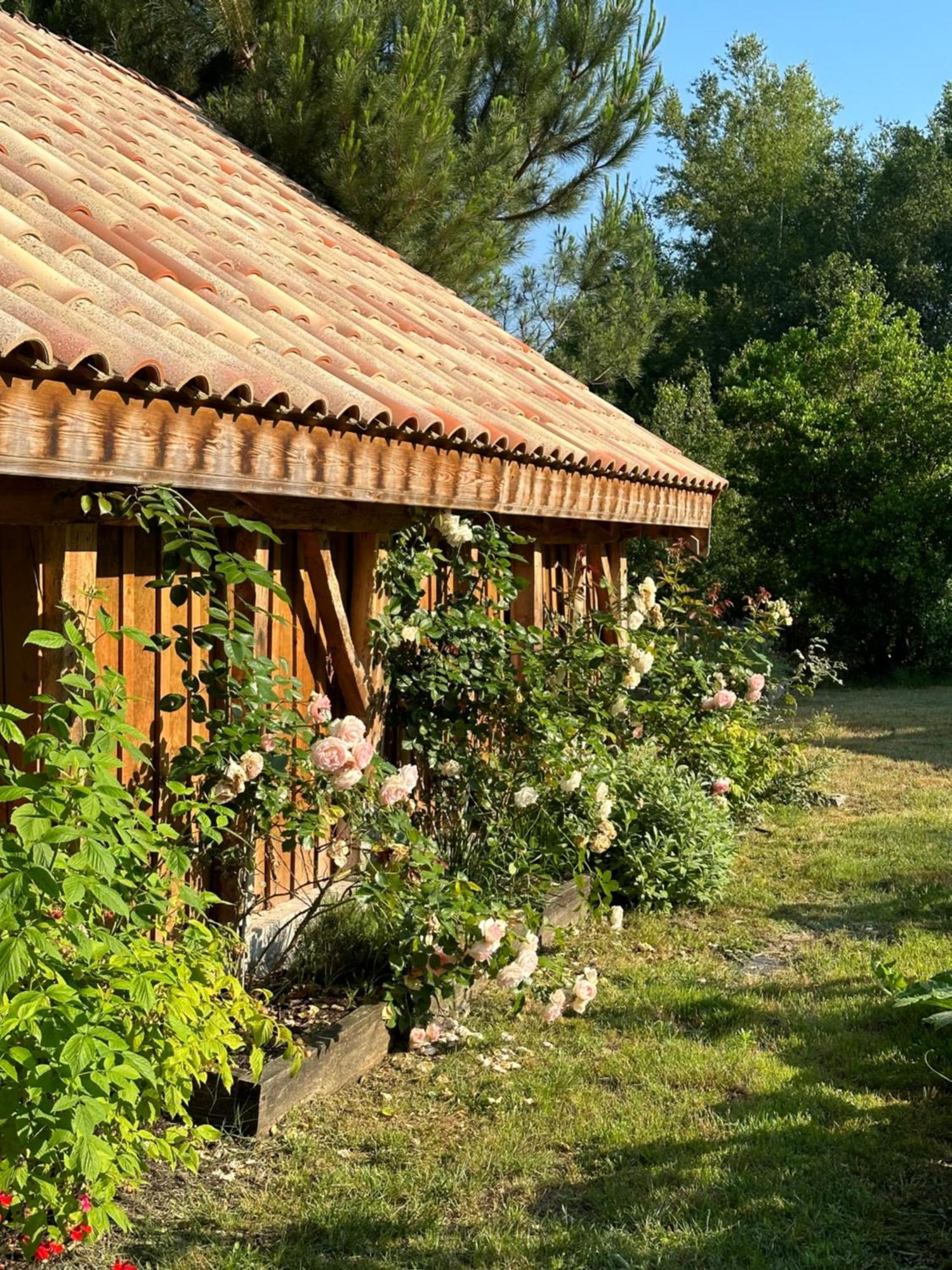 La Ferme Du Miouat Hotel Saint-Julien-en-Born Buitenkant foto
